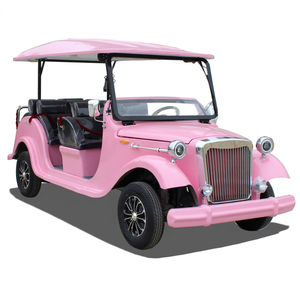 ZOWN Coche Eléctrico Clásico de Lujo para Turismo en Resorts y Hoteles, 2 Pasajeros, 4 Ruedas, Nuevo con 2 Años de Garantía - Product Image 1
