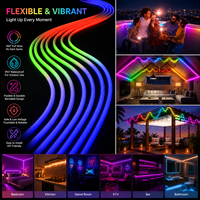 Bande LED flexible en silicone, néon tressé RGB adressable WS2811, 360 degrés, DC24V, étanche IP67, couleur de rêve