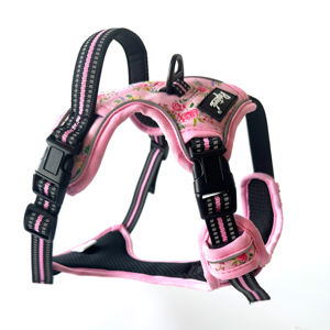 Penjualan langsung dari pabrik Logo kustom dapat diatur antilembap tahan lama tali anjing poliester untuk anjing besar dipersonalisasi tanpa tali tarik - Product Image 2