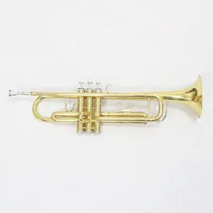 Китайская труба хорошая цена Прямая продажа с завода дешевая труба Золотая лакированная стандартная труба