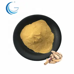 Natural plant extract tamarind extract powder High Quality tamarind seed extract powder