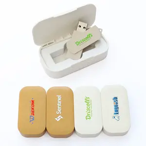 Eco Friendly New Style Memory Sticks Factory Price Custom 4GB 2GB 8GB Pen drive 32GB 16GB 64GB 128GB USB Flash Drive