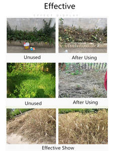 Glifosato IPA 360 g/l Glifosato 30% AS Herbicida No Selectivo para Cultivos Anuales en Huertos de Frutas y Agricultura - Product Image 4