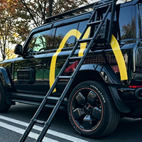 Échelle latérale universelle pour SUV, pour accès au porte-bagages de toit, capacité de charge de 330 lb, personnalisable pour le overlanding et le camping