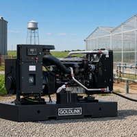 Groupe électrogène diesel Perkins Goldlink 25 kVA/20 kW, type ouvert, générateur diesel 25 kVA, générateurs diesel 20 kW à châssis ouvert