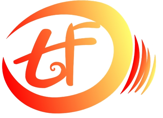 Shenzhen Tingfeng Innovation Technology Co., Ltd. logo