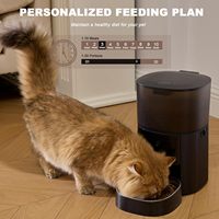 Distributeur automatique intelligent 2L pour chiens et chats, rechargeable, écran LCD, étanche, programmable, contrôle quantitatif via APP, portable, écologique