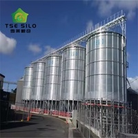 Silo de stockage de céréales modulaire à fond trémie pour usine d'aliments pour animaux et entrepôt de céréales
