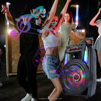 Enceinte trolley sans fil Bluetooth CH-8613 Super Bass 12 pouces avec radio FM, subwoofer et haut-parleurs actifs pour karaoké