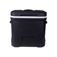 Glacière portable Bearhike Modern 38L avec roulettes et isolation, conservation de la glace pendant 5 jours, stockage alimentaire