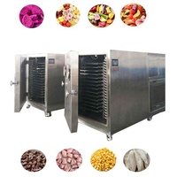 50Kg 5m2 Kleinschalige Thuis Commerciële Vacuüm Voedsel Spray Vriesdroger Groente Fruit Lyofilisator Machine Voor Snoep Snoep