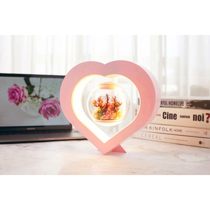 تعزيز الديكور هدية عيد الميلاد مصنع الرفع حامل زهرة وعاء المغناطيسي العائمة المحفوظة زهور طازجة بونساي شجرة - Product Image 5