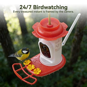 Nouvel mangeoire à colibris intelligente avec caméra, alimentée à l'énergie solaire, à suspendre en extérieur, parfaite pour la décoration de la maison et du jardin - Product Image 2
