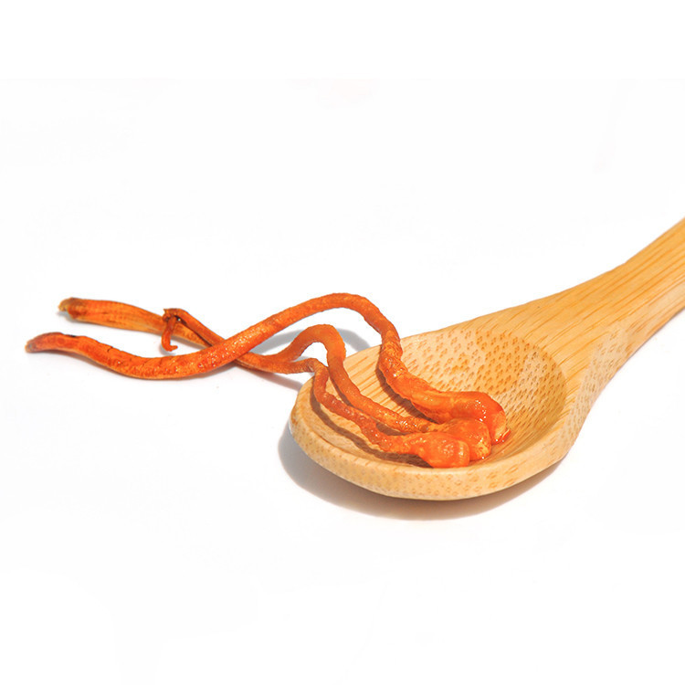 Chinese Herbal Medicine Cordyceps Militaris Flower Direct Supply From Origin On Sale