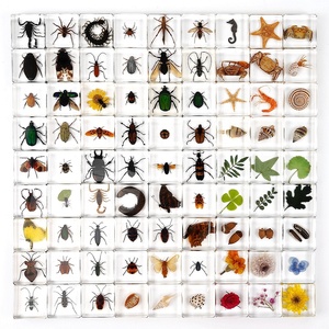 ラボ用顕微鏡アクセサリー 生物学的顕微鏡用アクセサリーセット