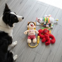 Porte-clés en peluche personnalisé classique et original pour nettoyer les dents des chiens et des chats, conforme aux normes CE ASTM - Marque HUGMEI