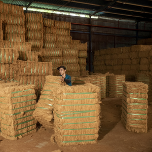 Fibre de noix de coco naturelle dorée pour la fabrication de cordes, le paillage, la literie pour animaux de compagnie et l'artisanat de la décoration intérieure à des prix abordables - Product Image 1