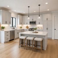 Gabinetes de Cocina Modulares Modernos de Lujo con Correderas de Cajones de Madera, Bisagras y Accesorios Ecológicos para Salpicaderos, Ideales para Villas