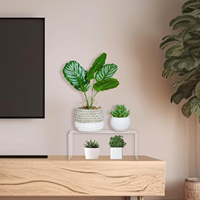 Lot de 2 supports de présentation réglables en acrylique de 12 pouces, type sol, minimalistes, étagères de 5 mm d'épaisseur pour armoires et aliments