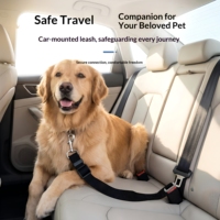 Kit de laisse de sécurité pour animaux de compagnie pour chiot, chaton, chiens de petite, moyenne et grande taille – Idéal pour les promenades quotidiennes et les voyages en extérieur