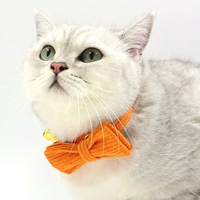 Ensemble collier et laisse pour chat et chien en velours de luxe personnalisé avec nœud papillon, motif uni réglable, accessoires pour animaux de compagnie avec clochette en plusieurs couleurs