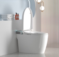Salle de bain automatique Offre Spéciale Réservoir d'eau dissimulé haut de gamme Toilette intelligente intelligente Toilette électrique à chasse automatique