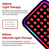 Lampu inframerah terapi wajah, lampu terapi 660nm & 850nm WAKTU & lampu merah untuk wajah, lampu terapi tubuh