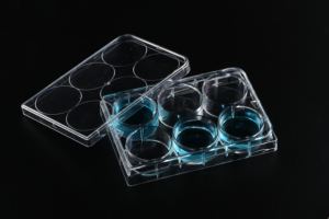 Materiali di consumo per esperimenti di coltura biologica ad alta chiarezza coperchio opzionale 96 piastra di coltura di cellule del tessuto - Product Image 4