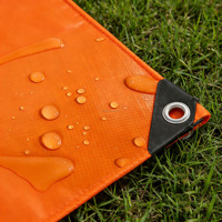 Bâche en toile PVC Lona 800 g/m², bâche enduite de PVC imperméable pour tente, camion, gonflable, haute résistance, multi-usages