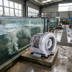 Souffleur d'air annulaire à faible bruit 220V 50HZ/60HZ pour l'aération des bassins de maintien des poissons vivants - Product Image 1