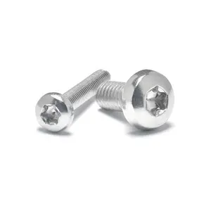 Bán sỉ Thép Không Gỉ Pan Head Torx Vít Chống trộm Ốc Vít