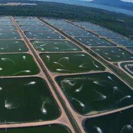 Membran HDPE Anti rembes 0.75mm, tebal fleksibel tahan air cocok untuk kolam, aliran dan air mancur