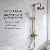 Système de douche pluie mural en laiton brossé antique, style européen, avec mitigeur, tête ronde, barre coulissante et jet doux