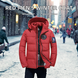 Chaqueta Varsity Roja para Hombre, Invierno 2023, Chaqueta Casual de Lana Lavada con Capucha, Cierre de Cremallera, Forro Cortavientos - Product Image 2