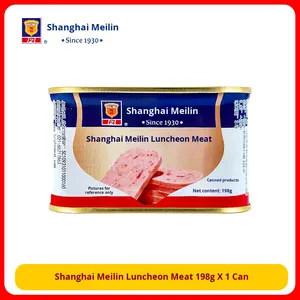 Carne <span class=keywords><strong>in</strong></span> <span class=keywords><strong>Scatola</strong></span> 198g Manzo Maiale <span class=keywords><strong>Pollo</strong></span> Certificato ISO Alta Qualità Cottura Pratica Ingredienti per Hot Pot Noodle Istantanei - Product Image 6