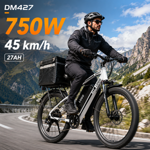 Bicicleta Eléctrica de Montaña DM427, 750W, 48V27AH, 27.5'', 108km de Autonomía, Bicicleta Eléctrica de Carga para Larga Distancia - Product Image 1