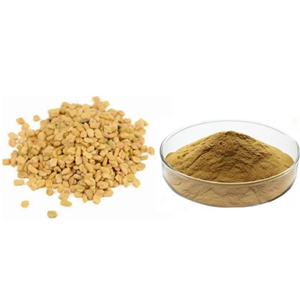 Экстракт семян пищевого качества, чистый тестофен, Тригонеллин, порошок, 50 сапонинов, упаковка для бутылок - Product Image 3