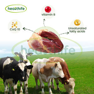 ผงหัวใจวัวแท้จากฟาร์มเลี้ยงวัวด้วยหญ้า ผงหัวใจวัวอบแห้งแบบแช่แข็ง ขายส่งจากโรงงาน Healthife - Product Image 3