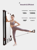FRS Machine Smith Murale, Entraîneur Fonctionnel, Crossover par Câbles, Machine de Gym avec Miroir, Pile de Poids en Acier de 100 kg, Gain de Place, Usage Domestique