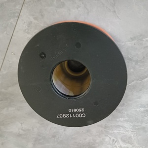 Elemento Filtro Carburante C00112937 per Motori Diesel SAIC V80 <span class=keywords><strong>V90</strong></span> T60 T70, Ricambi e Accessori per Filtro Carburante - Product Image 1