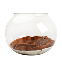 Lit pour chat en PET transparent de forme ronde/ovale, intérieur spacieux, anti-adhésif, facile à nettoyer, semi-fermé, respirant, adapté à toutes les saisons