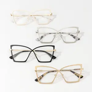 Eyeglasses Plastic Eyewear Butterfly Shape Metal Eyewear Frames tr90 for Women