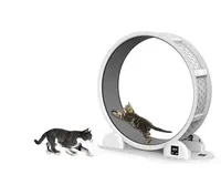 Roue de course pour chat en plastique écologique - Équipement d'exercice pour chats à usage domestique avec compteur intelligent à énergie solaire