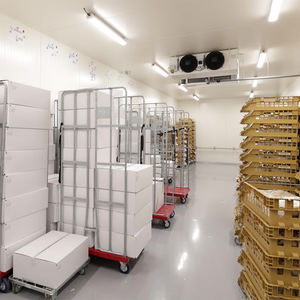 Chambre froide pour le stockage des fruits Belle chambre froide pour la mangue et le citron Entrepôt professionnel Chambre froide - Product Image 3