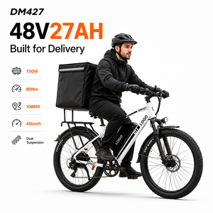 Bicicleta Eléctrica de Montaña DM427, 27.5 Pulgadas, 750W, Batería de 48V 27AH, Alcance de 108 km, Neumáticos Resistentes - Product Image 1