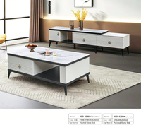Ensemble table basse et meuble TV en pierre frittée moderne, multifonctionnel, pour villa et appartement, mobilier de salon de luxe, meuble TV sur mesure