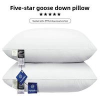 Oreiller de luxe moderne Lris cinq étoiles en tissu plume et fibre de polyester, avec noyau de protection cervicale, design rectangulaire solide pour hôtels et maisons