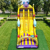 Toboggan gonflable commercial d'extérieur, château gonflable à thème de dessin animé, conception personnalisée pour enfants et adultes, parc d'attractions
