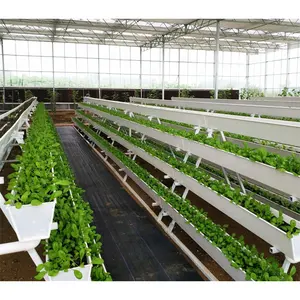 High Quality PVC NFT Gutter System Hydroponics Strawberry Gutter Greenhouse Hydroponic Planting Gutter For Growing Vegetables