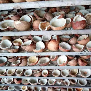 Séchoir à pompe à chaleur haute performance KR Séchoir à aliments et légumes pour l'agriculture Piment et viande de boeuf Séchoir à air chaud - Product Image 4